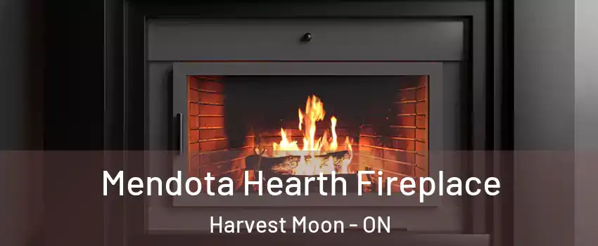 Mendota Hearth Fireplace Harvest Moon - ON