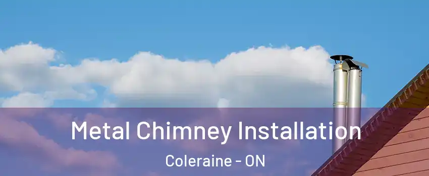 Metal Chimney Installation Coleraine - ON