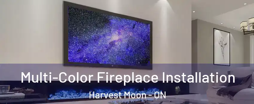 Multi-Color Fireplace Installation Harvest Moon - ON