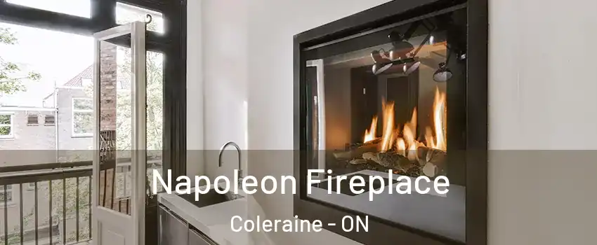 Napoleon Fireplace Coleraine - ON
