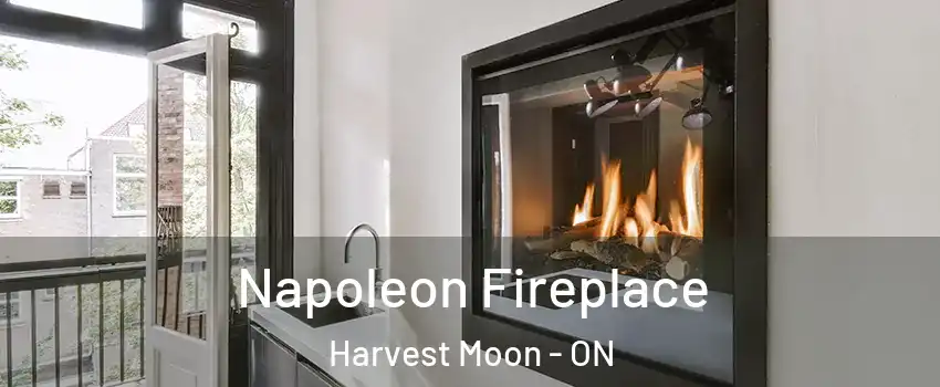 Napoleon Fireplace Harvest Moon - ON