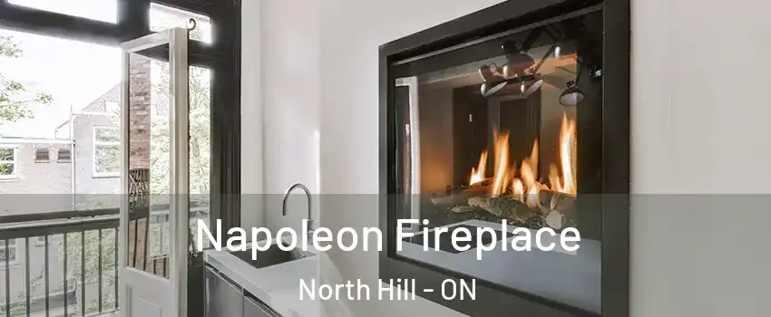 Napoleon Fireplace North Hill - ON