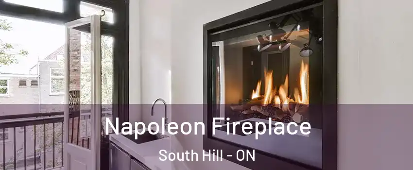 Napoleon Fireplace South Hill - ON