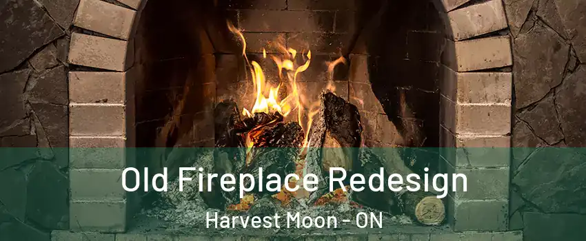 Old Fireplace Redesign Harvest Moon - ON