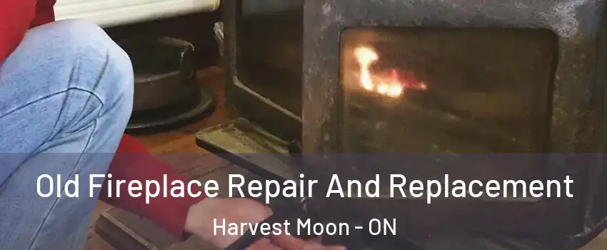 Old Fireplace Repair And Replacement Harvest Moon - ON