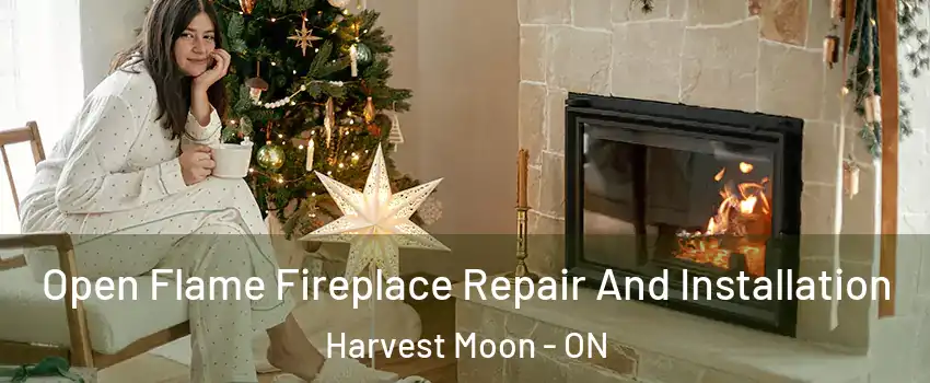 Open Flame Fireplace Repair And Installation Harvest Moon - ON