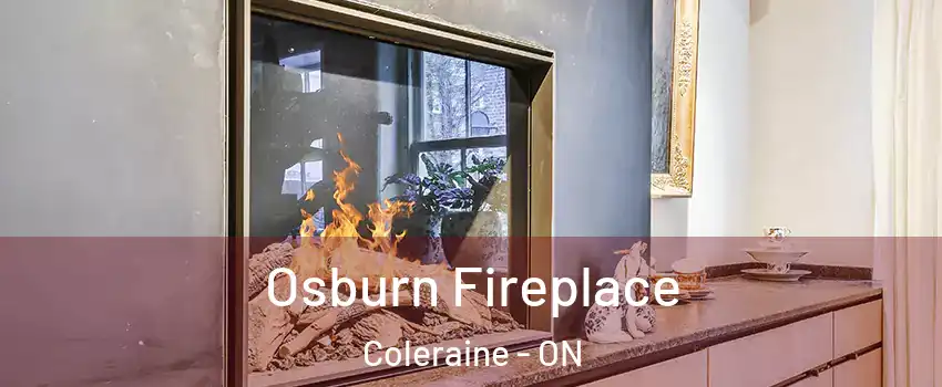 Osburn Fireplace Coleraine - ON