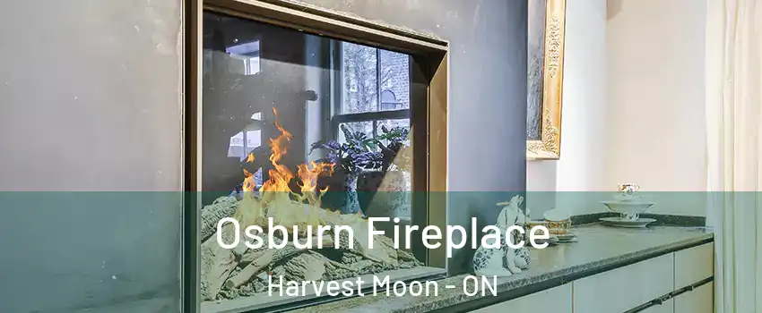 Osburn Fireplace Harvest Moon - ON