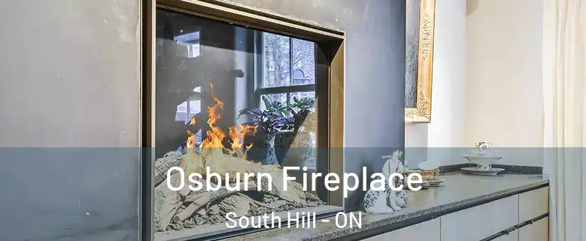 Osburn Fireplace South Hill - ON