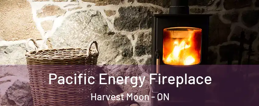 Pacific Energy Fireplace Harvest Moon - ON