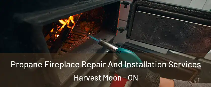 Propane Fireplace Repair And Installation Services Harvest Moon - ON