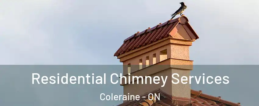 Residential Chimney Services Coleraine - ON