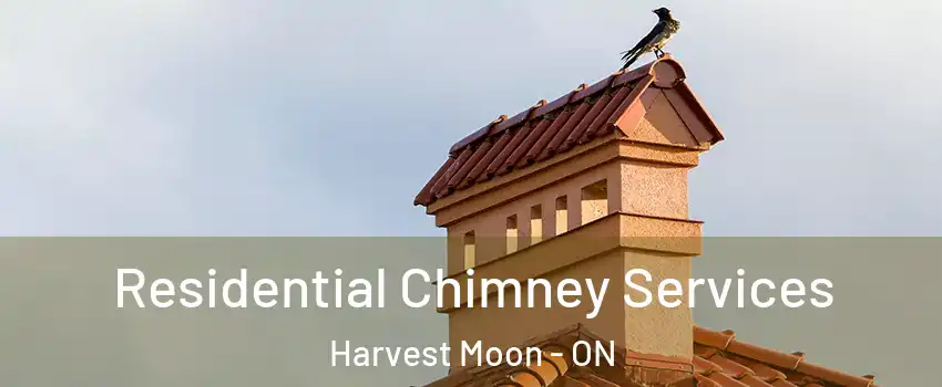 Residential Chimney Services Harvest Moon - ON