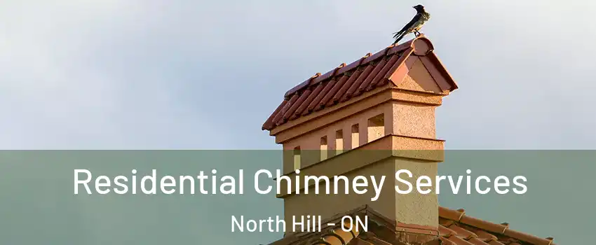 Residential Chimney Services North Hill - ON