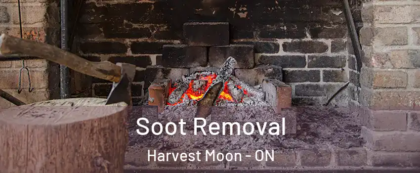Soot Removal Harvest Moon - ON