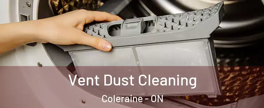 Vent Dust Cleaning Coleraine - ON