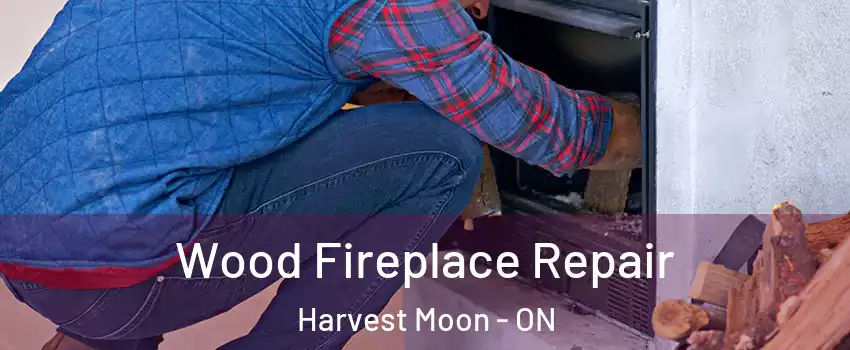 Wood Fireplace Repair Harvest Moon - ON