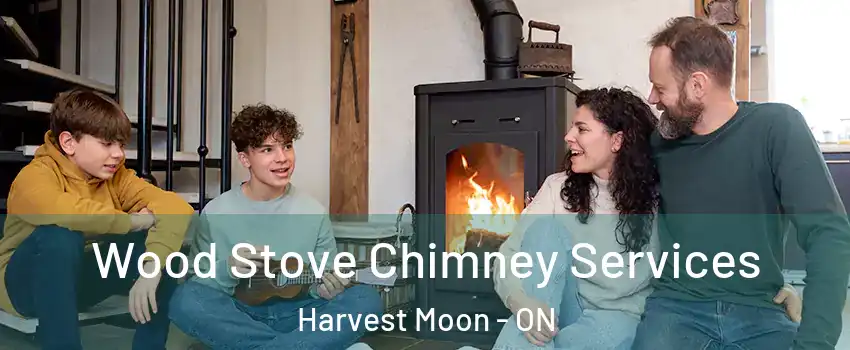 Wood Stove Chimney Services Harvest Moon - ON