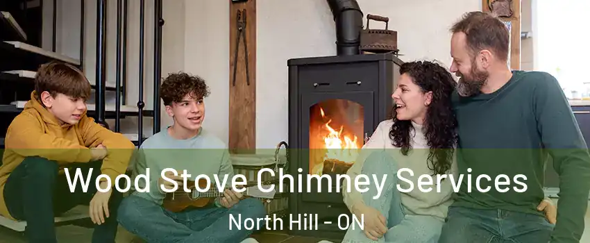Wood Stove Chimney Services North Hill - ON