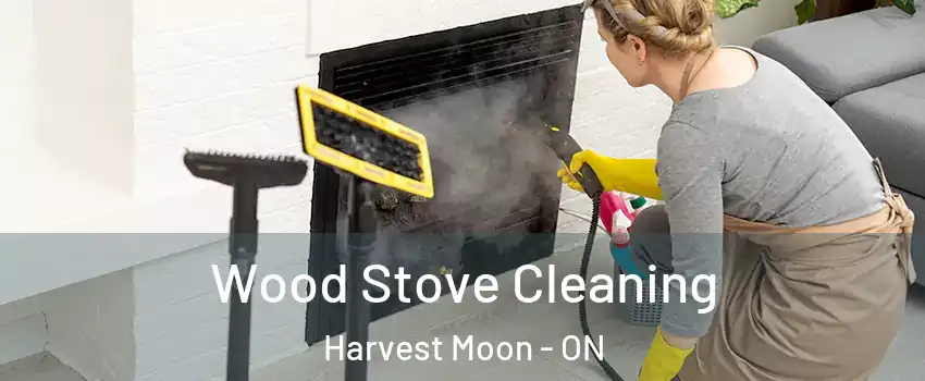 Wood Stove Cleaning Harvest Moon - ON