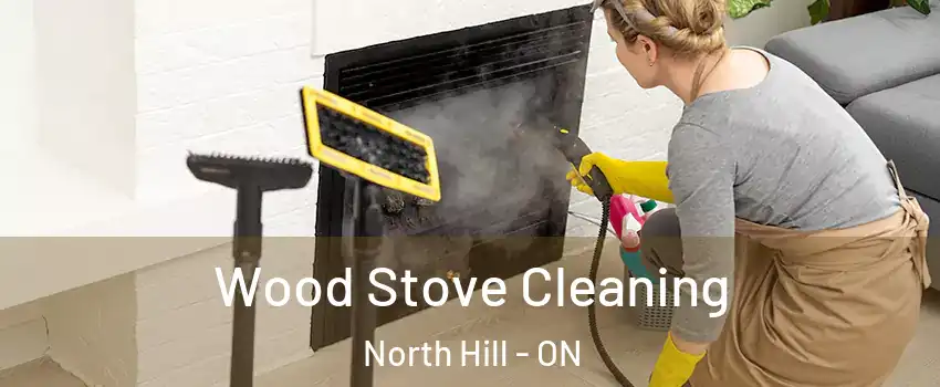 Wood Stove Cleaning North Hill - ON
