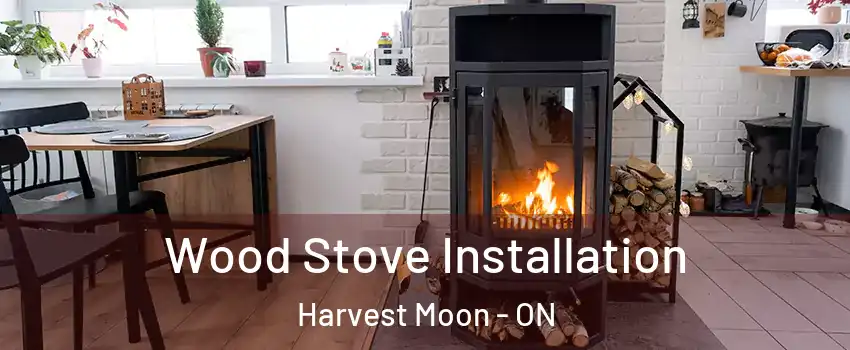 Wood Stove Installation Harvest Moon - ON